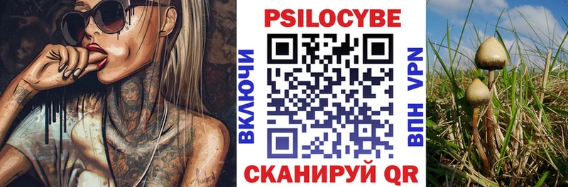 Псилоцибиновые грибы Psilocybine cubensis Сухой Лог